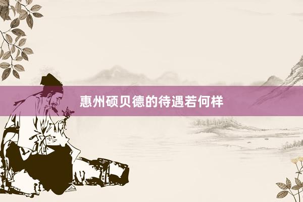 惠州硕贝德的待遇若何样
